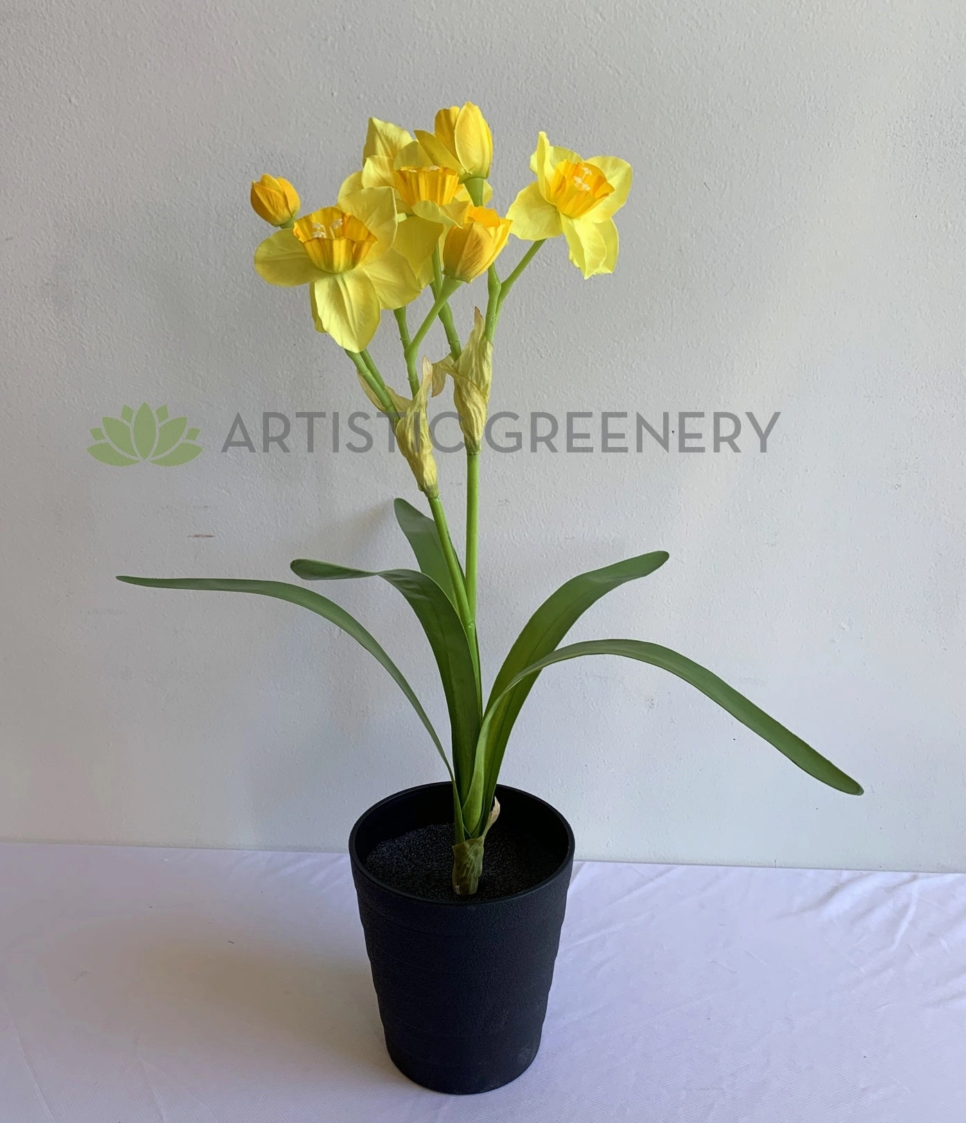 SP0409 Daffodil Plant 55cm Yellow