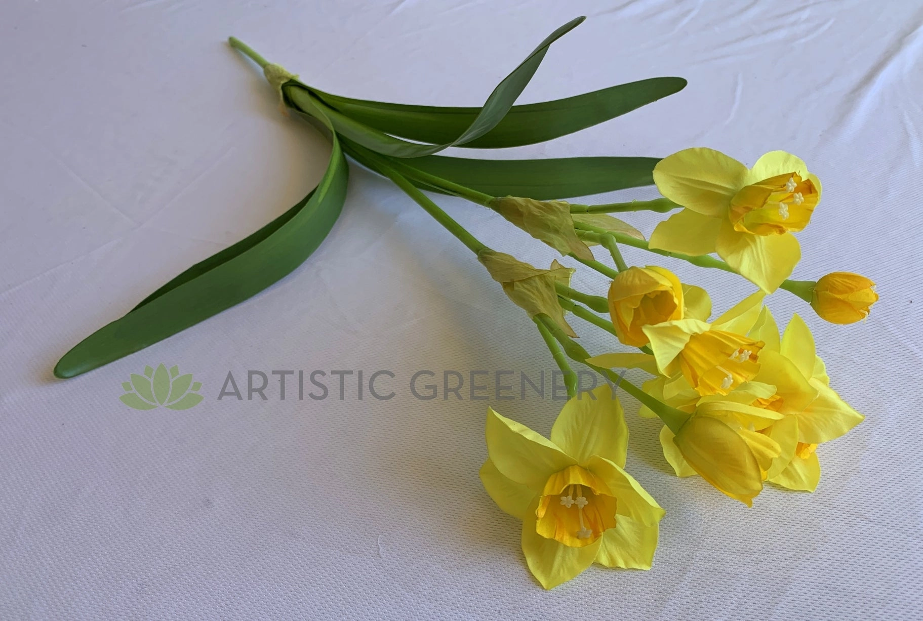 SP0409 Daffodil Plant 55cm Yellow