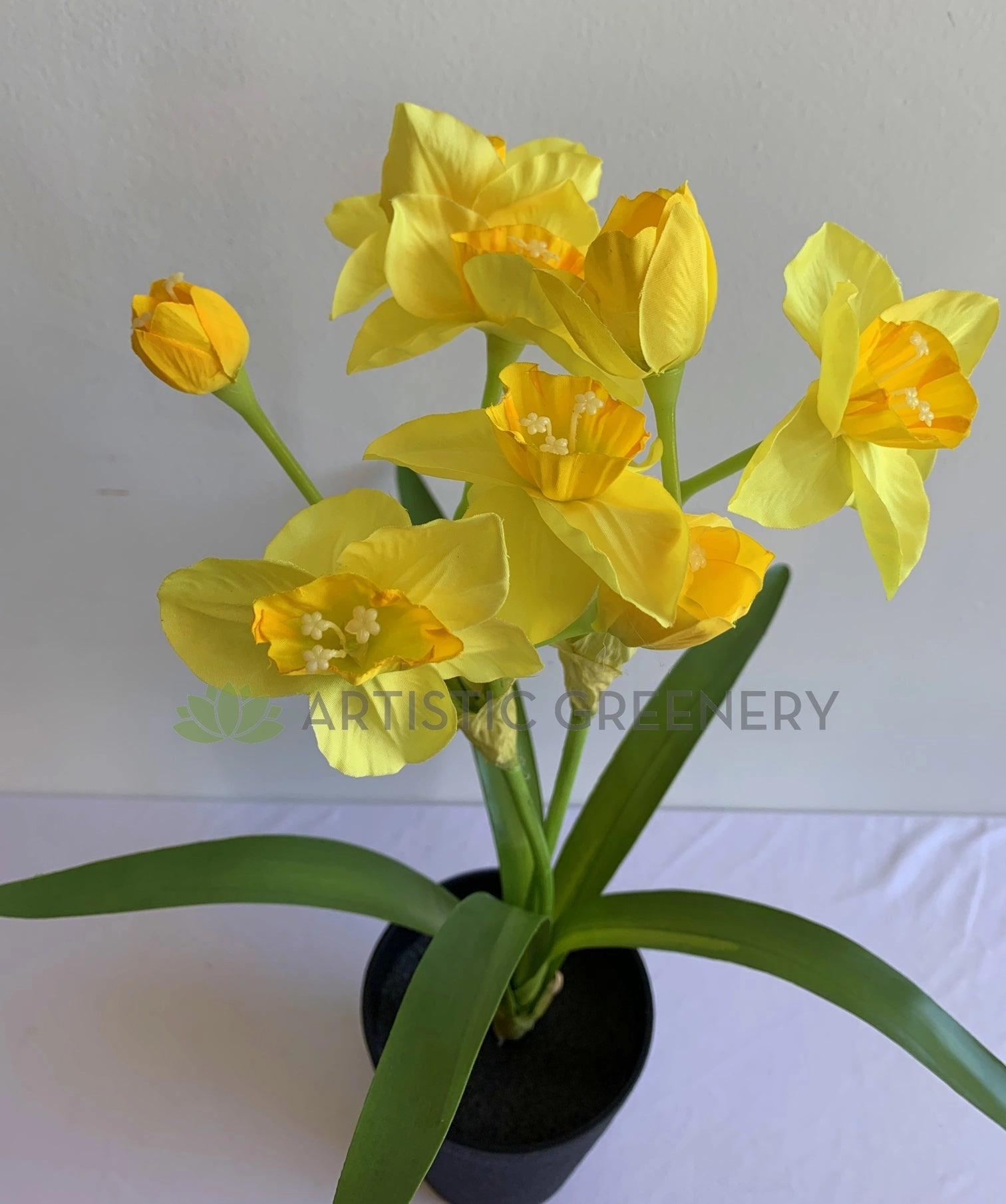 SP0409 Daffodil Plant 55cm Yellow