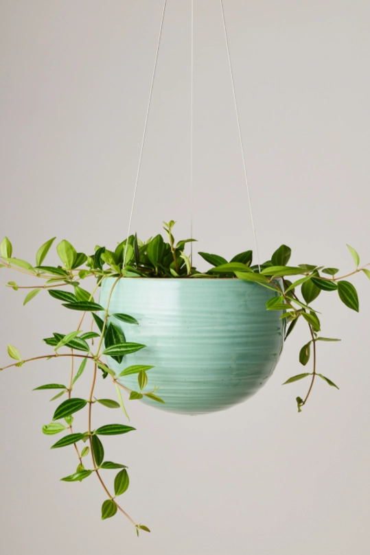 Spherical Hanging Planter Celadon Green Crackle