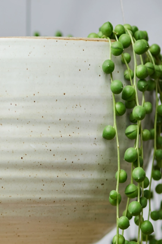 Spherical Hanging Planter Creamy White Speckle
