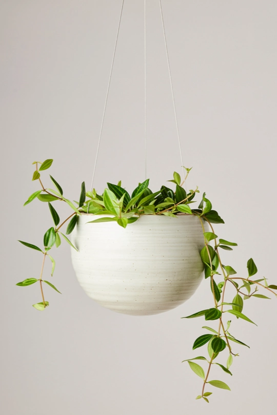 Spherical Hanging Planter Creamy White Speckle