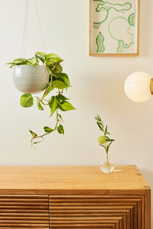 Spherical Hanging Planter Grey Crackle