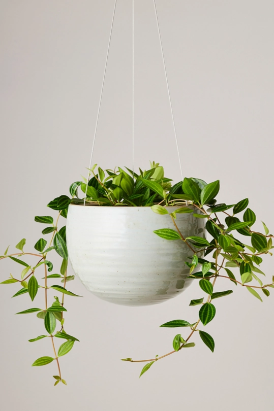 Spherical Hanging Planter Grey Crackle