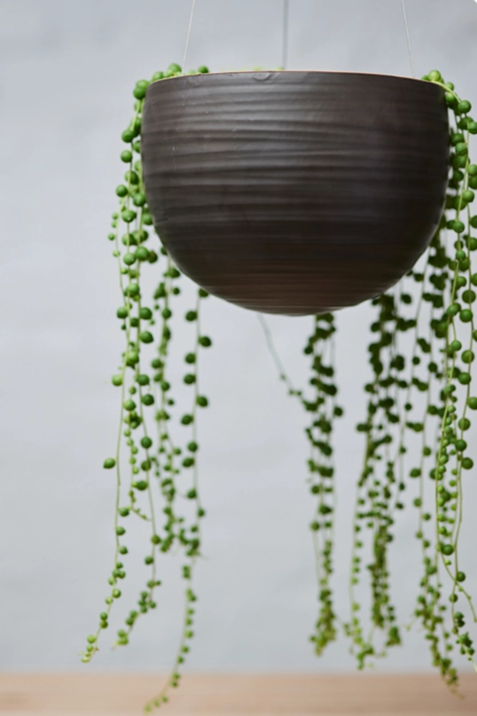 Spherical Hanging Planter Matte Black