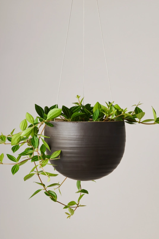 Spherical Hanging Planter Matte Black