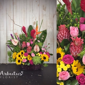 Splendid Future,dried artificial flower