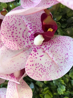 Spotted Pink LARGE REAL TOUCH PHALAENOPSIS ORCHID ARTIFICIAL FLOWER artificial flower bouquet  
