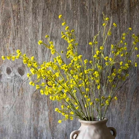 Stirlingia Latifloia Stem 72cm,dried artificial flower