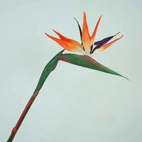 Strelitzia Bird of Paradise Artificial Silk Flower Stem Orange STRELITZIA002,dried artificial flower