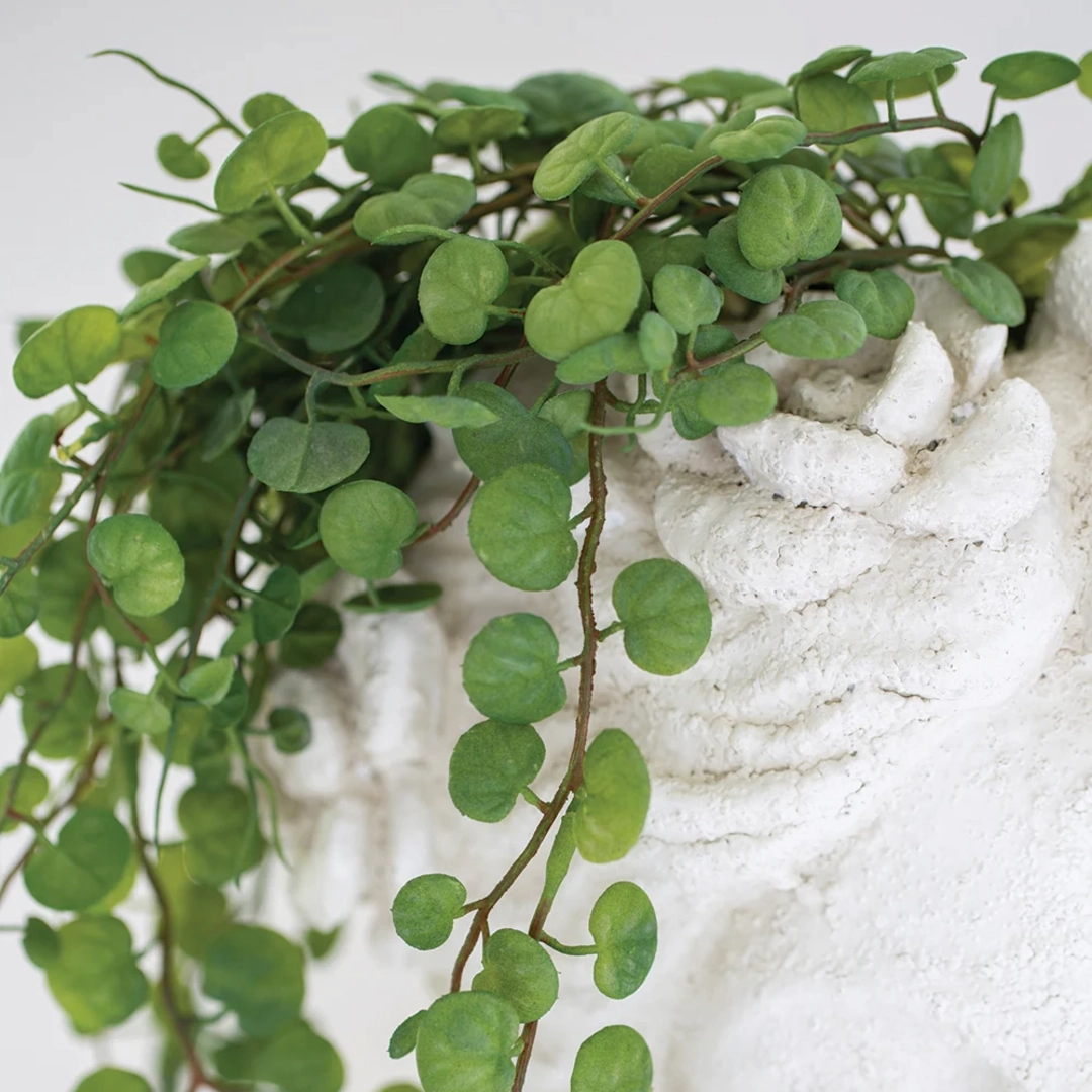 String of Hearts in Pot 56cm,dried artificial flower