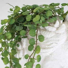 String of Hearts in Pot 56cm,dried artificial flower
