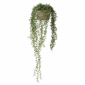 String of Pearl in Cement Pot 60cm,dried artificial flower