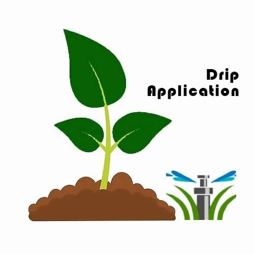 Super Potassium Sulphate Plant Fertilizer Powder - K2SO4-0050