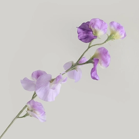 Sweet pea Artificial Silk Flower 62cm Mauve SWEETPEA007,dried artificial flower