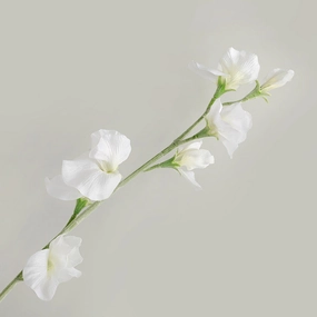Sweet pea Artificial Silk Flower 62cm White SWEETPEA009,dried artificial flower