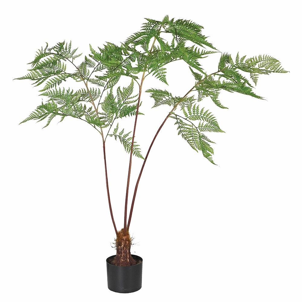 Sword Fern Plant in Black Plastic Pot 145cm,dried artificial flower