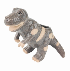 T Rex Dinosaur Planter Grey,terracotta plant pot