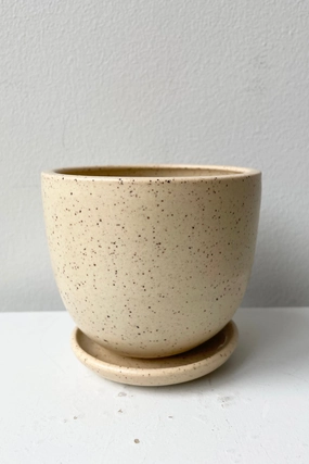 Tabletop Planter & Saucer Butter Speckle Small,indoor flower container