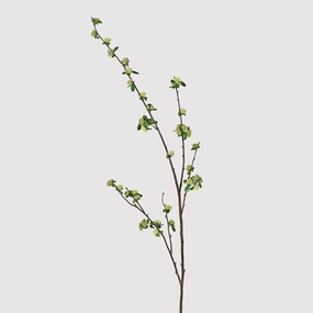 Tall Skimmia Stem 130cm,dried artificial flower
