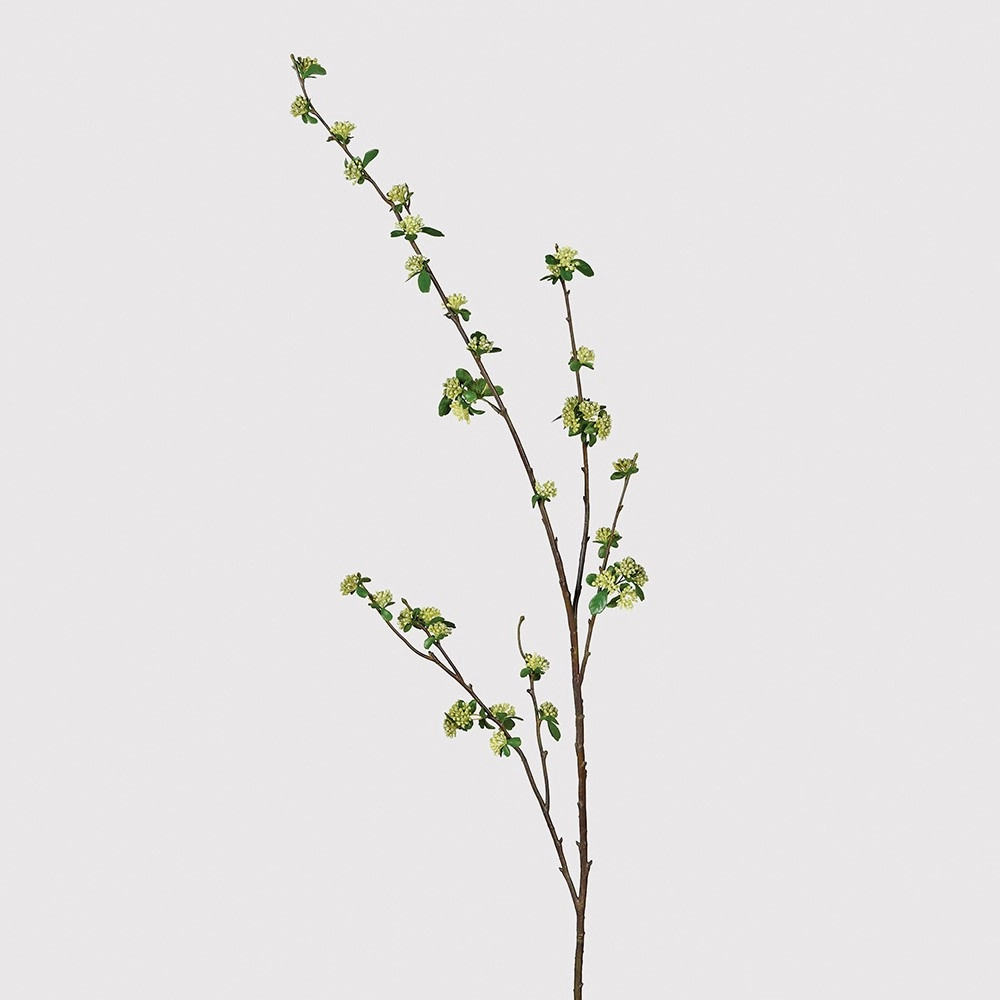 Tall Skimmia Stem 130cm,dried artificial flower