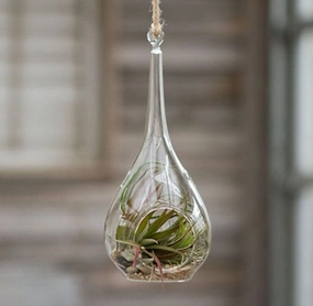 Tear Drop Terrarium Bowl,garden field mower