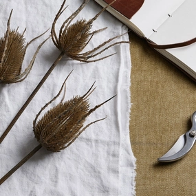 Teasel Bundle 85cm,dried artificial flower