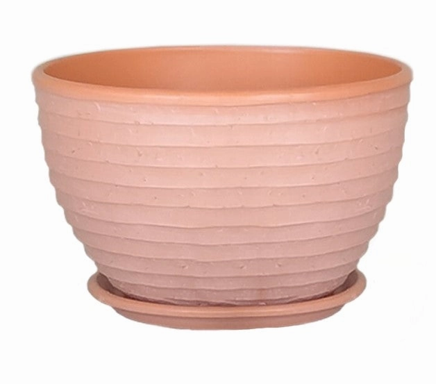 Terracotta 3101 - 01 White wash On Terracotta