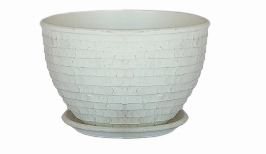 Terracotta 3101 - 331 Matted  White