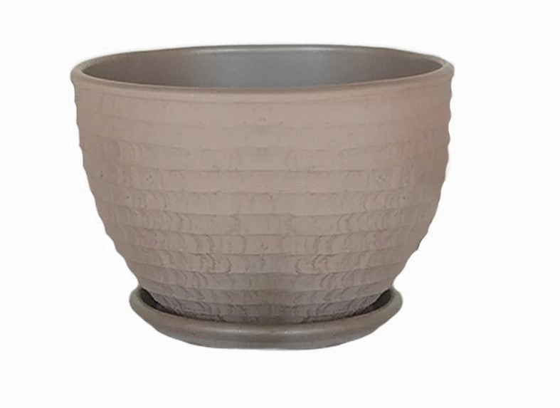 Terracotta 3101 - 67 Cocoa