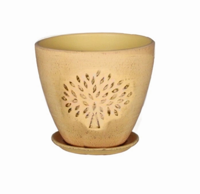 Terracotta 3738 - 322 Matted Daffodil