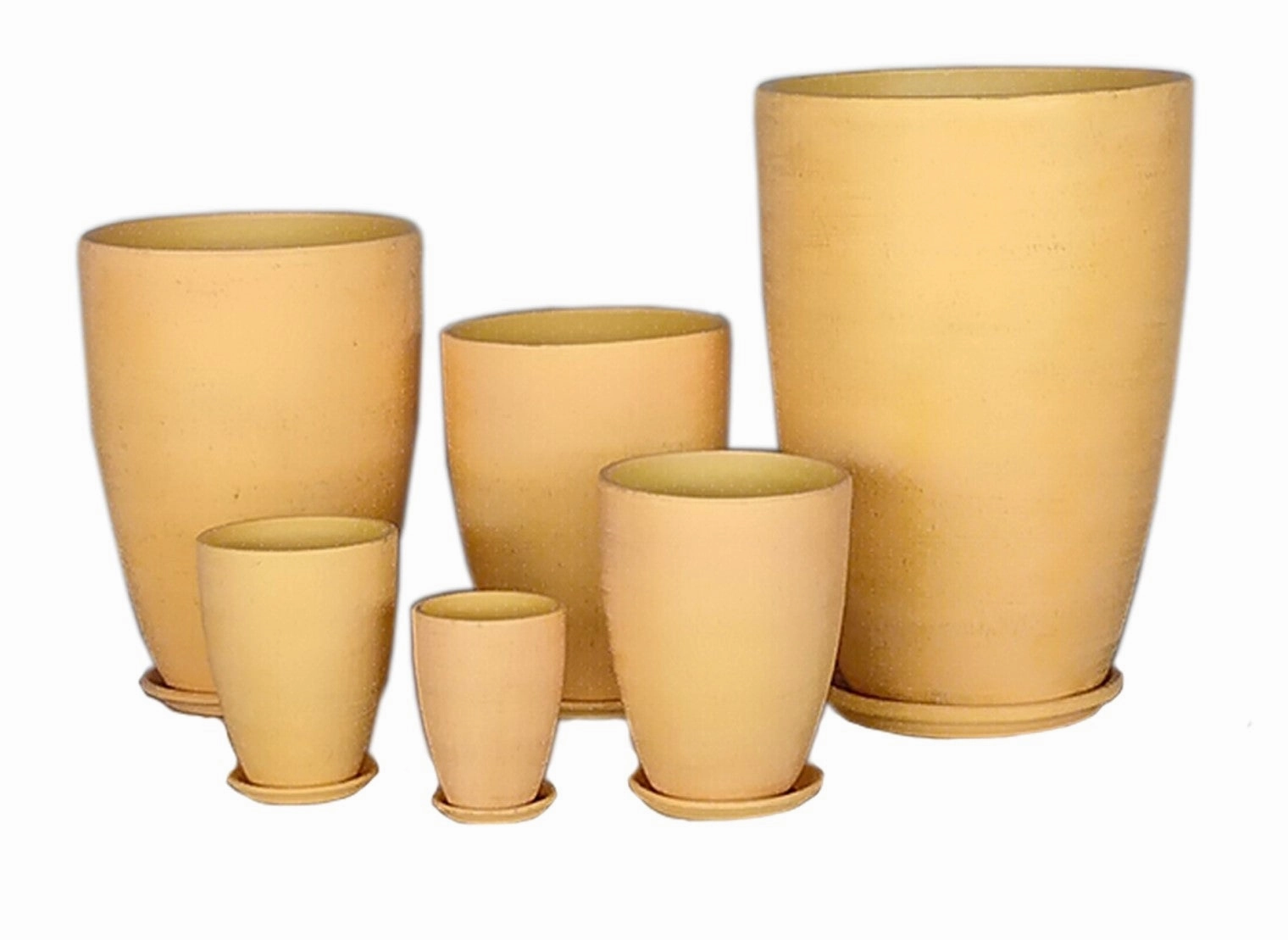 Terracotta 3903-322  Matted Daffodil