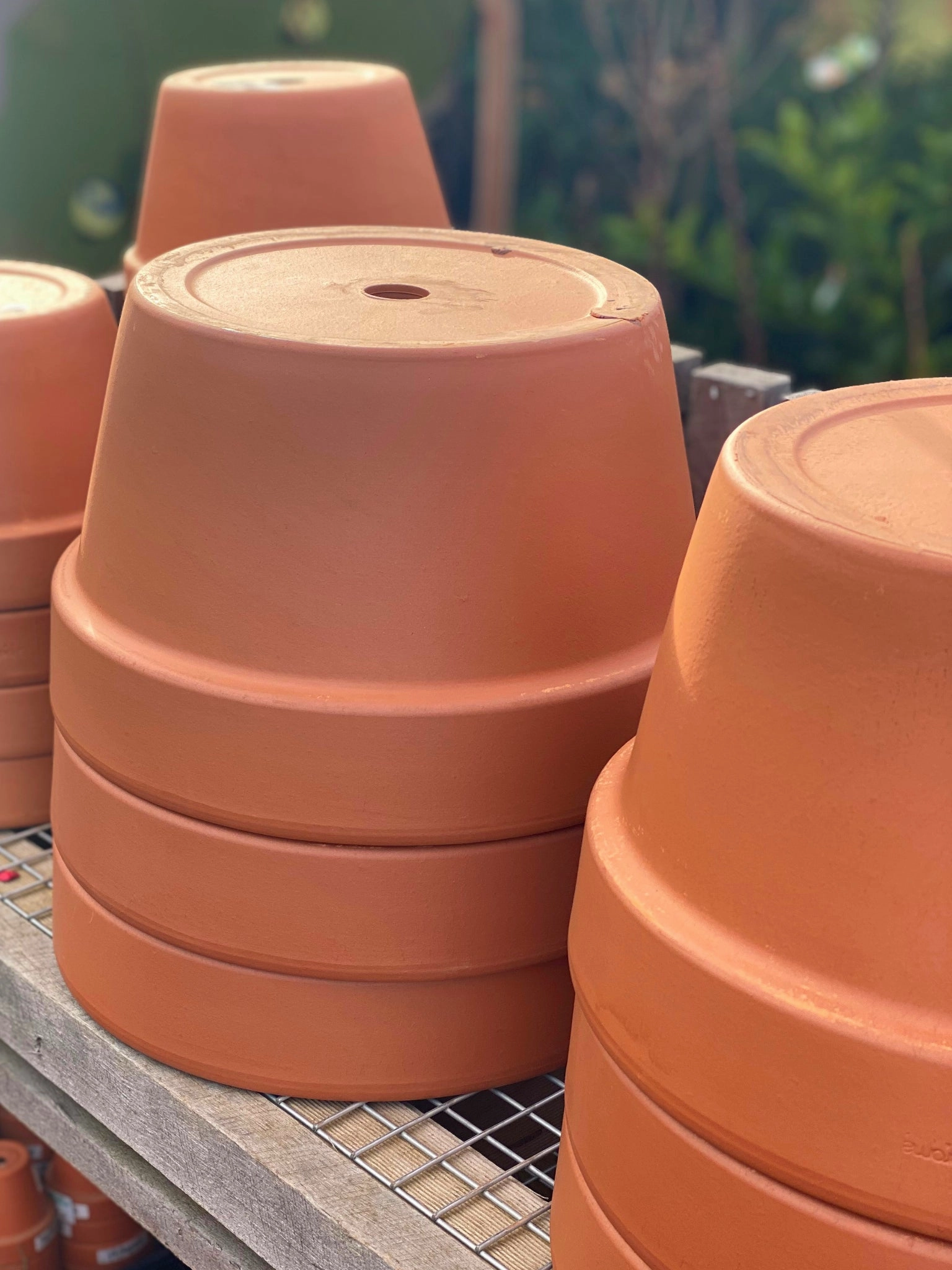 Terracotta Pot - Squat Cone,terracotta plant pot