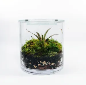 Terrarium Greenhouse Ecosystem,realistic flower bouquet 