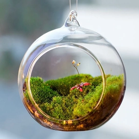 Terrarium Ball Globe Shape Clear,hand-painted ceramic vase