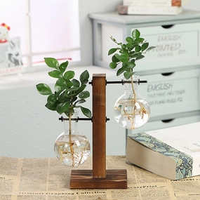 Terrarium Hydroponic Plant Vases,hand-painted ceramic vase