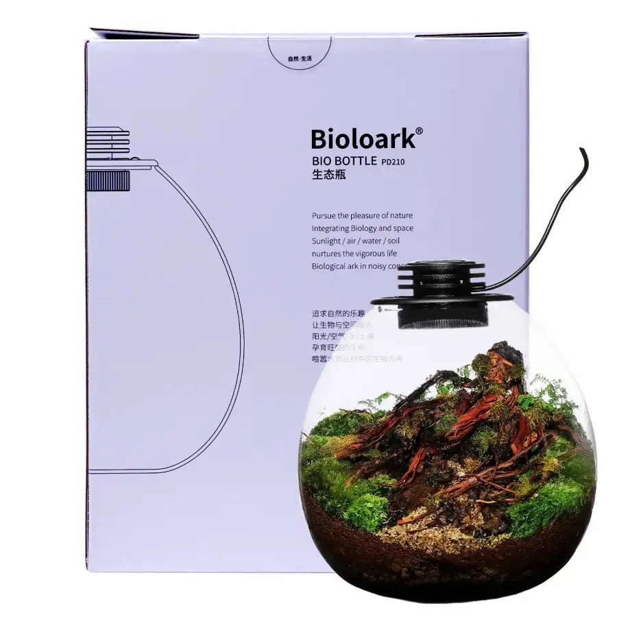 Terrarium with Grow Light  Bioloark Nano Moss Terrarium