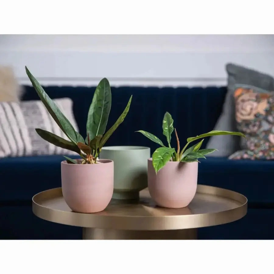 The Coastal Porcelain Planter