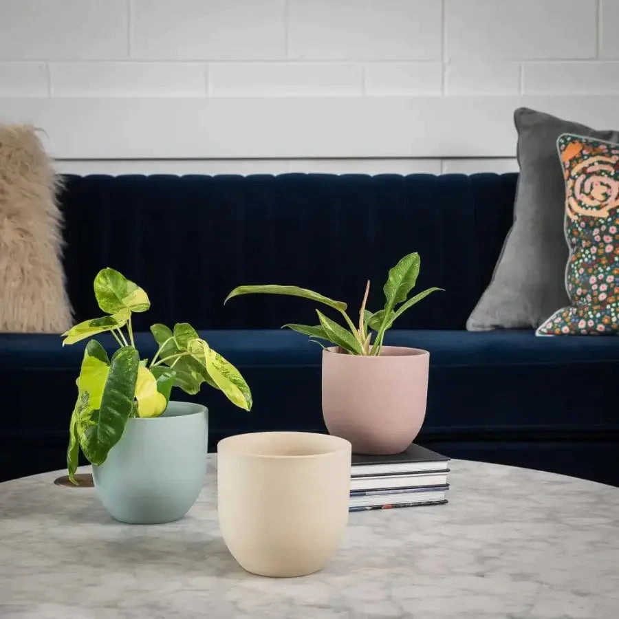 The Coastal Porcelain Planter