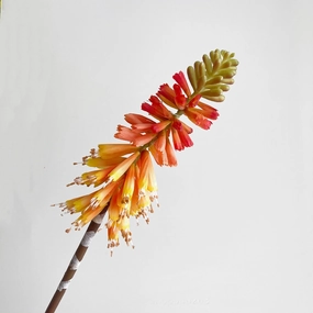 Touch lily Artificial Silk Flower Orange TORCHLILY001,dried artificial flower