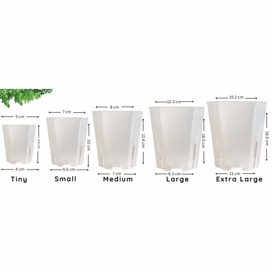 Translucent Square Grow Pots,flowerpot set decor