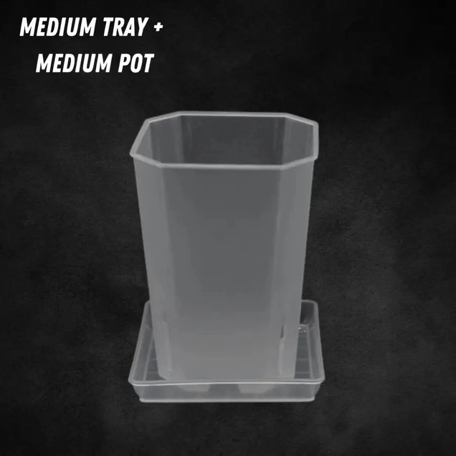 Translucent Square Saucers
