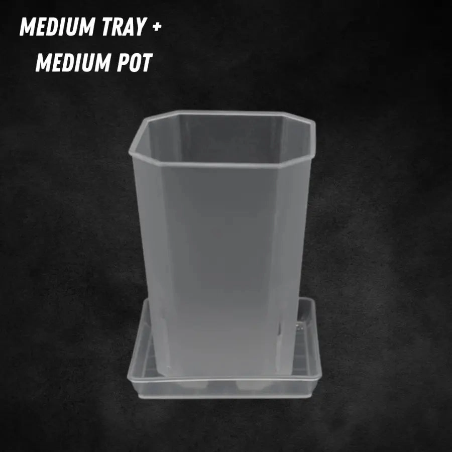 Translucent Square Saucers