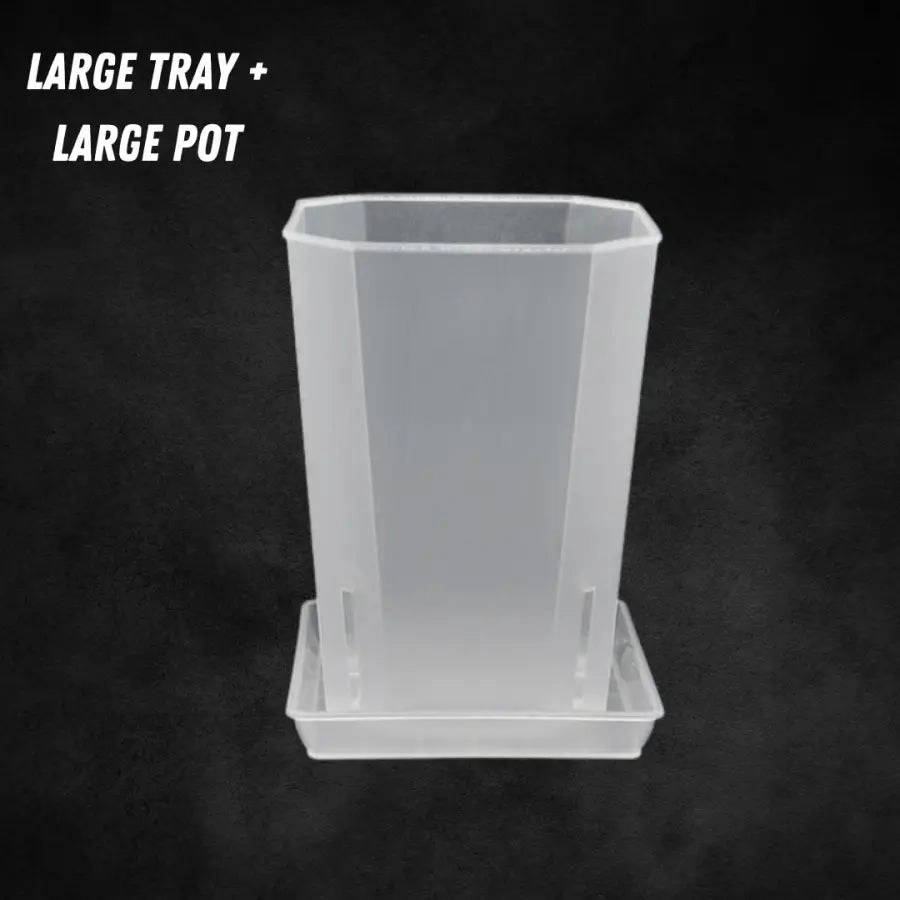 Translucent Square Saucers