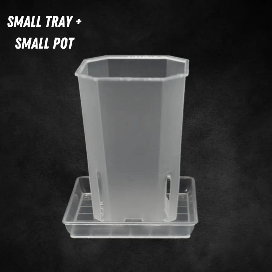 Translucent Square Saucers