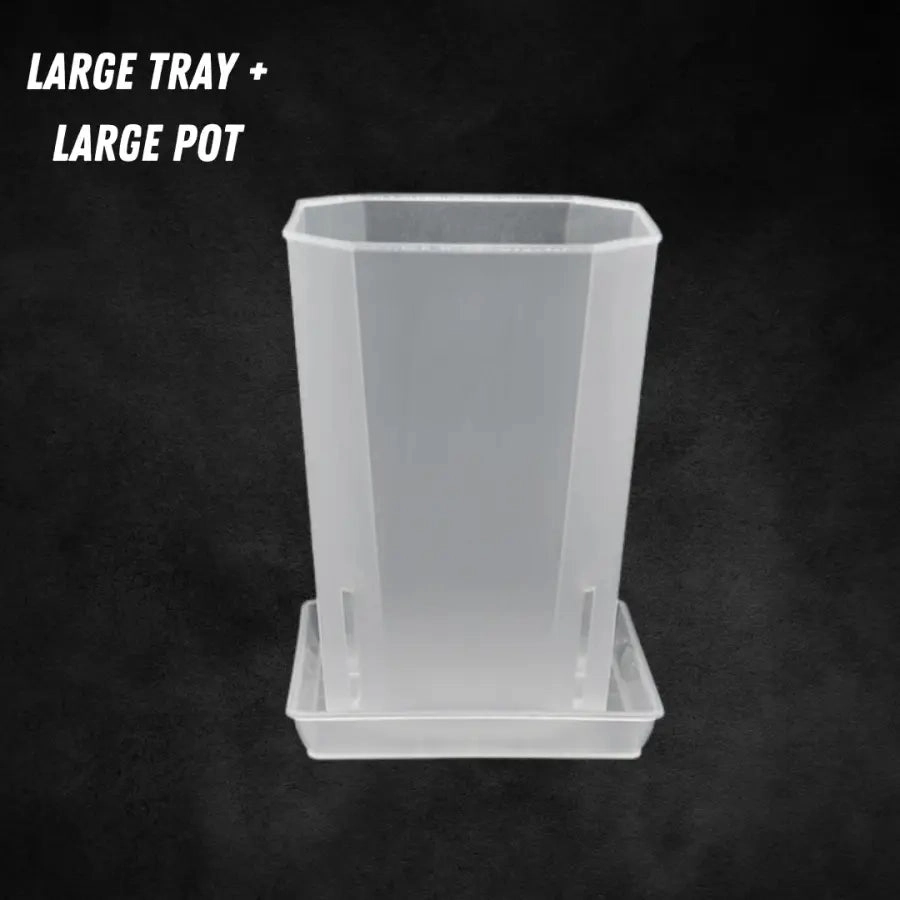 Translucent Square Saucers