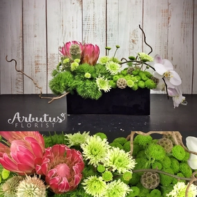 Tropical Poetry,romantic flower gift