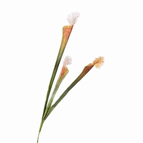 Trumpet Artificial Flower Brown TRUMPET002,dried artificial flower