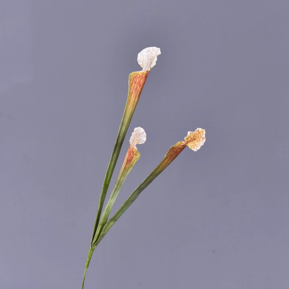 Trumpet Artificial Flower Brown TRUMPET002