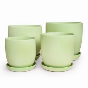 Tulip Pot with saucer - Matte Sage,terracotta plant pot